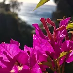 וילה Olivea Le Rayol-Canadel-sur-Mer