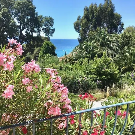 Olivea