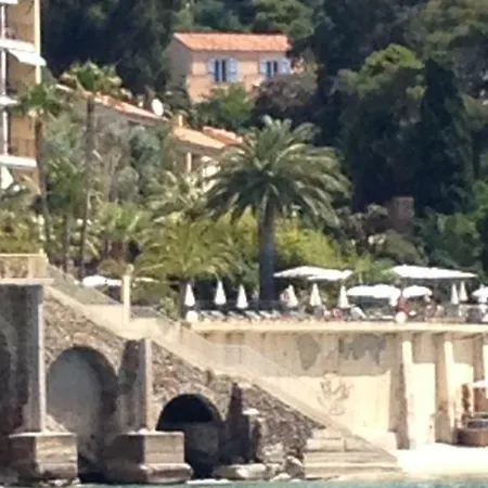 Olivea