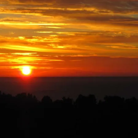 Olivea Le Rayol-Canadel-sur-Mer