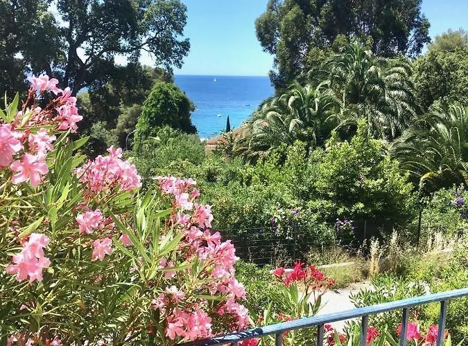 Olivea