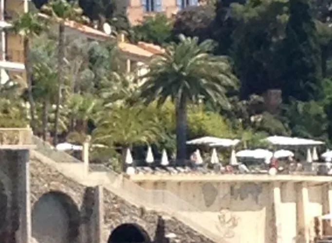 Olivea
